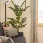 Διαμέρισμα Dimora Degli Angeli Your Cozy In Ασίζη