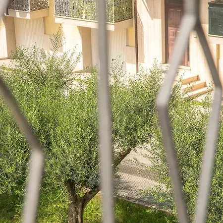 Dimora Degli Angeli Your Cozy In Assisi